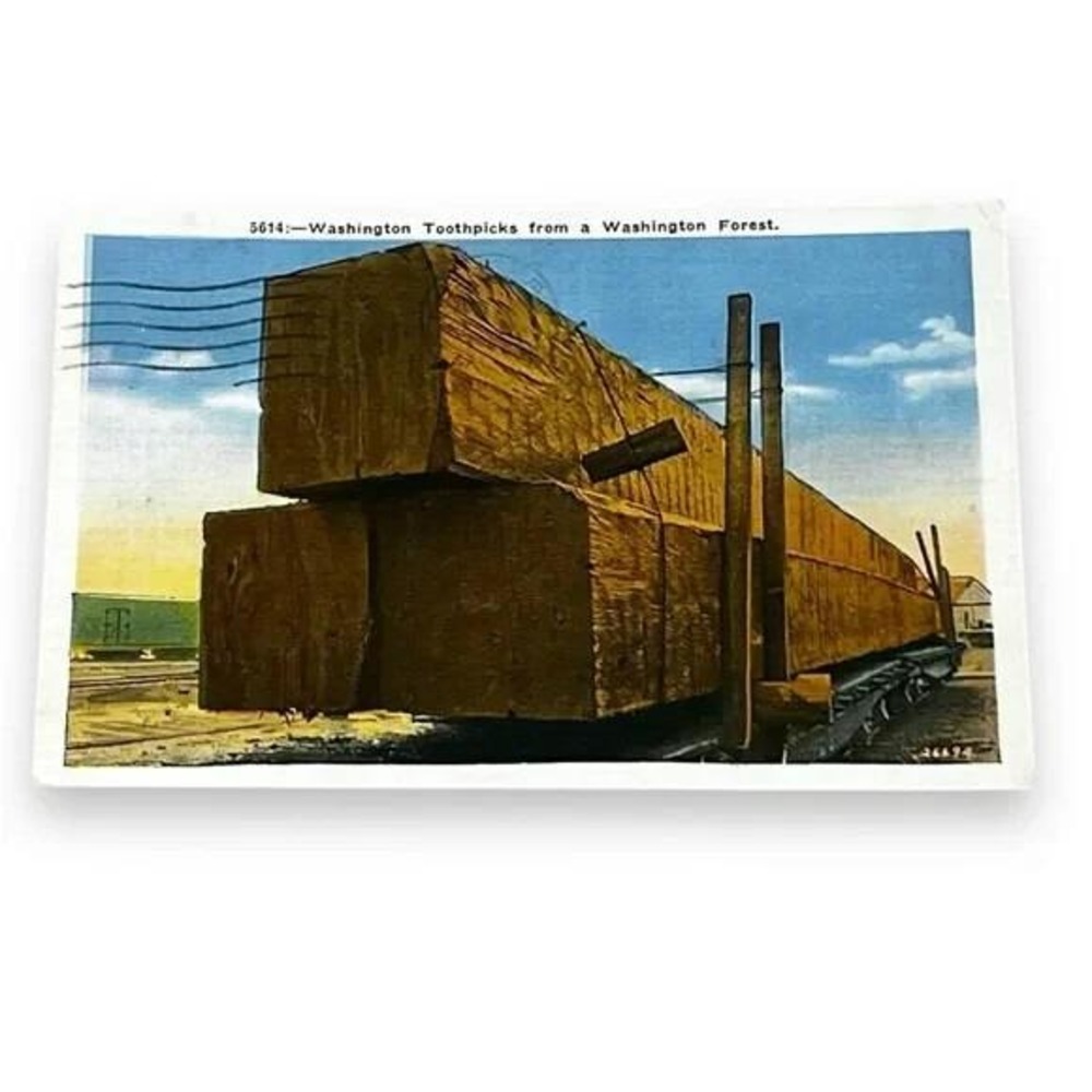 Postcard Washington Toothpicks From a Washington Forest c1936 Linen Card C197